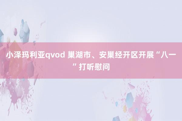 小泽玛利亚qvod 巢湖市、安巢经开区开展“八一”打听慰问