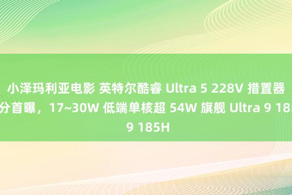 小泽玛利亚电影 英特尔酷睿 Ultra 5 228V 措置器跑分首曝，17~30W 低端单核超 54W 旗舰 Ultra 9 185H