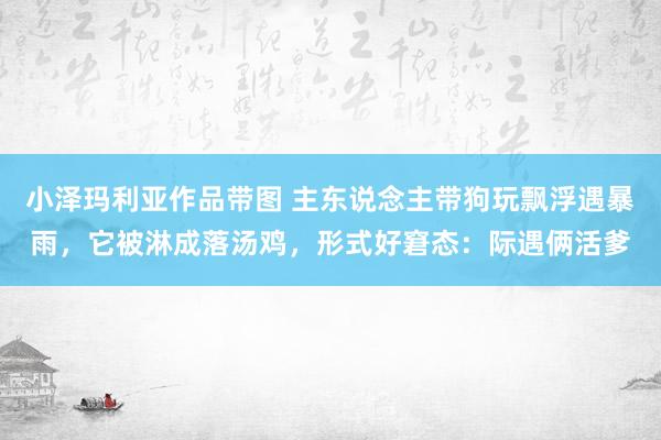 小泽玛利亚作品带图 主东说念主带狗玩飘浮遇暴雨，它被淋成落汤鸡，形式好窘态：际遇俩活爹