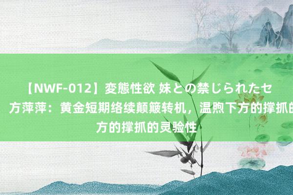 【NWF-012】変態性欲 妹との禁じられたセックス。 方萍萍：黄金短期络续颠簸转机，温煦下方的撑抓的灵验性