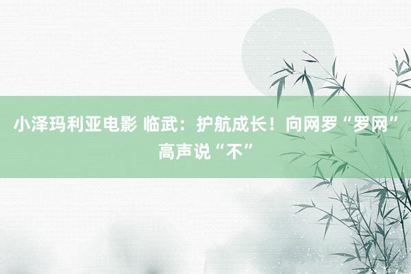 小泽玛利亚电影 临武：护航成长！向网罗“罗网”高声说“不”