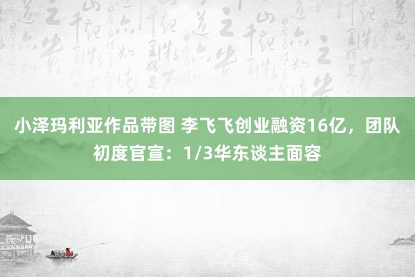 小泽玛利亚作品带图 李飞飞创业融资16亿，团队初度官宣：1/3华东谈主面容