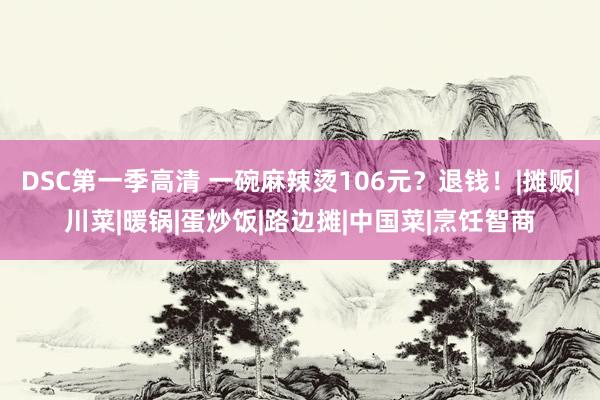DSC第一季高清 一碗麻辣烫106元？退钱！|摊贩|川菜|暖锅|蛋炒饭|路边摊|中国菜|烹饪智商